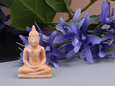 Afbeelding van Versteend hout Boeddha beeldje in dhyana mudra houding 7 gram