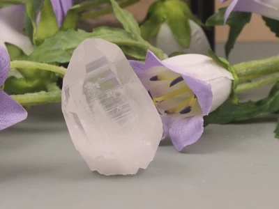 Afbeelding van Lemurisch zaad kristal zelfhelend 40 gram