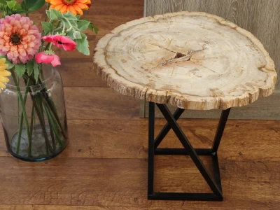 Afbeelding van Versteend hout bijzet tafel met onderstel 6,7 kg