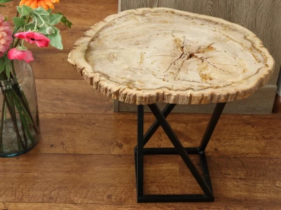 Afbeelding van Versteend hout bijzet tafel met onderstel ca 6,7 kg