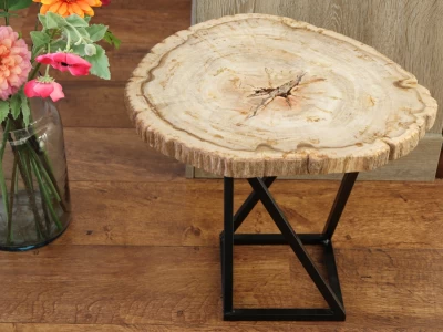 Afbeelding van Versteend hout bijzet tafel met onderstel ca 8,2 kg
