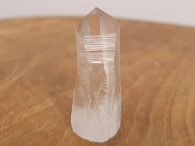 Afbeelding van Lemurisch zaad kristal staand (Brazilië) 18 gram