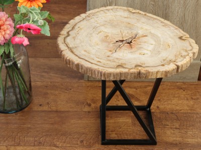 Afbeelding van Versteend hout bijzet tafel met onderstel ca 8,2 kg