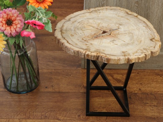 Afbeelding voor Versteend hout bijzet tafel met onderstel 6,7 kg
