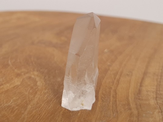 Afbeelding voor Lemurisch zaad kristal staand (Brazilië) 15 gram